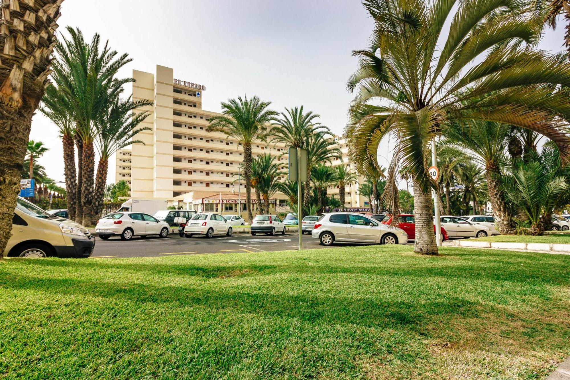 1Bdr El Dorado Ocean View Las Americas Πλάγια ντε λας Αμέρικας Εξωτερικό φωτογραφία